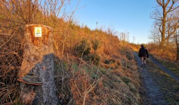 Wanderweg BestWeg Nuttlar