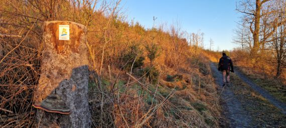 Wanderweg BestWeg Nuttlar